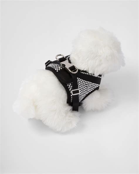 prada dog accessories|prada dog collar and leash.